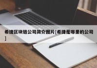 希捷区块链公司简介图片[希捷是哪里的公司]